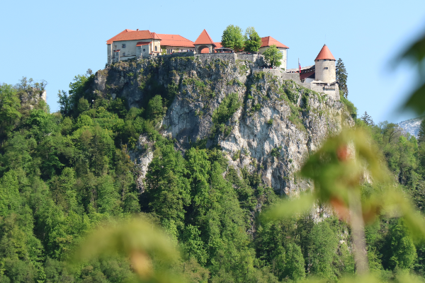 Bled Castle