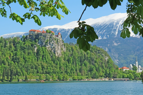 Bled Castle
